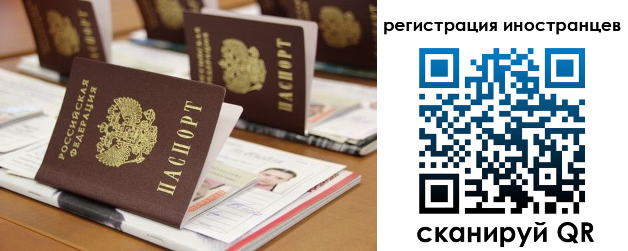 прописка для работы в Мытищах